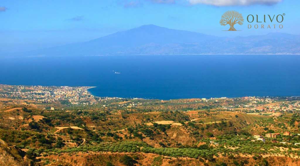 kalabrien hat ausgezeichnetet Olivenöl